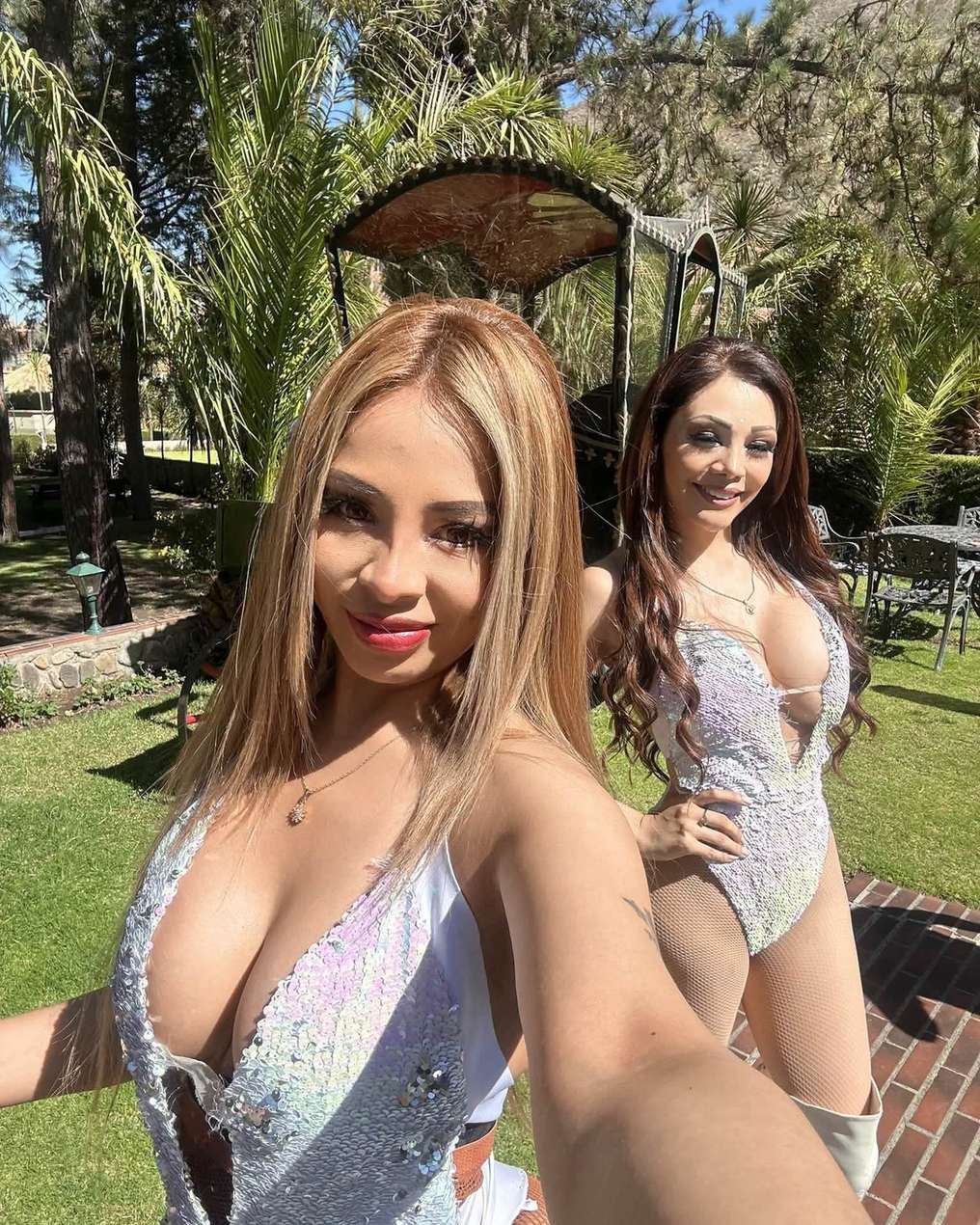 Jadedecita