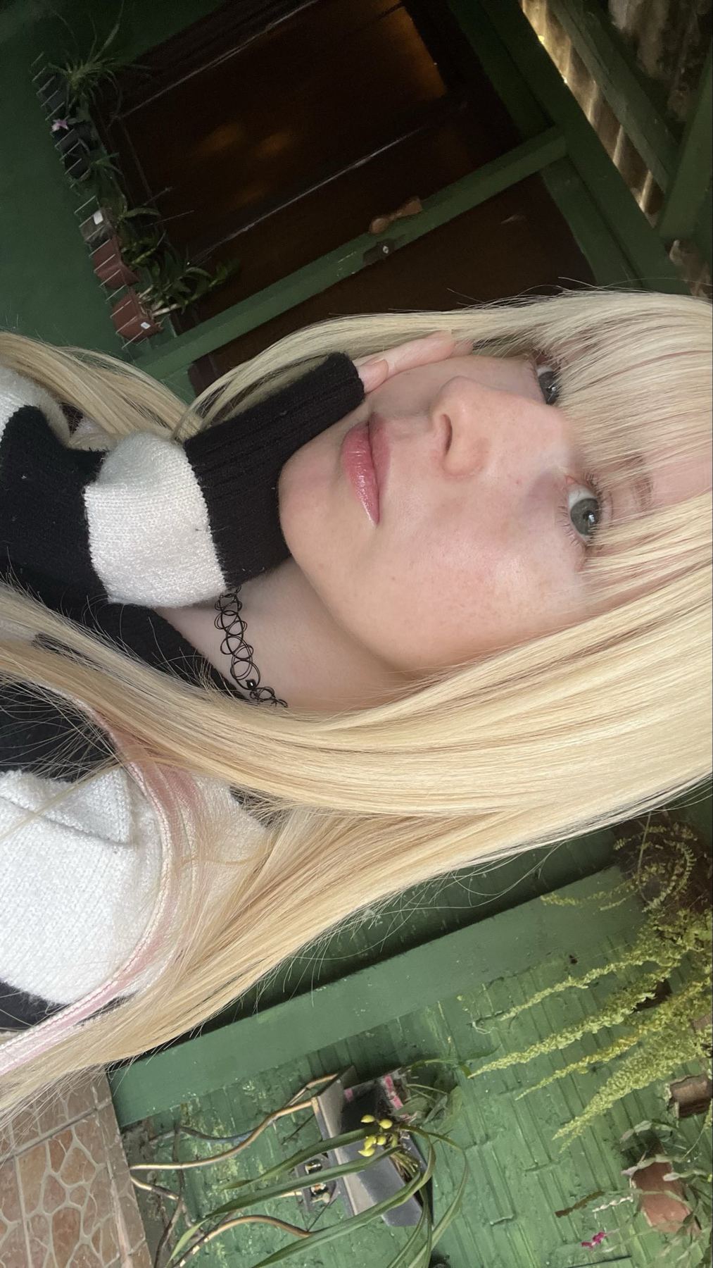 niasguts