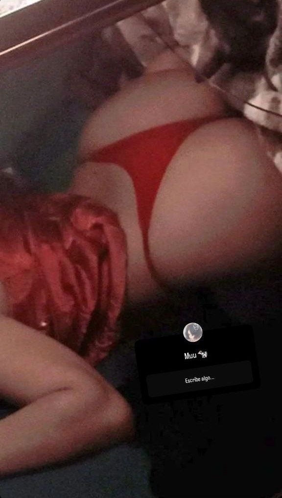 Vaquita_Moni