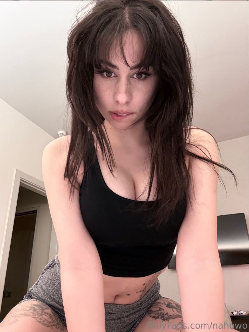 Nahowo o ZorraCoreana