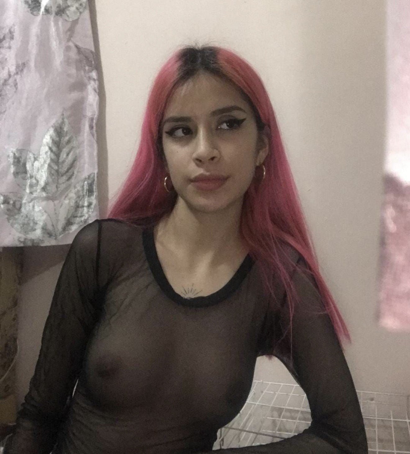 alguien tiene todo lo que vendía esta perrita?