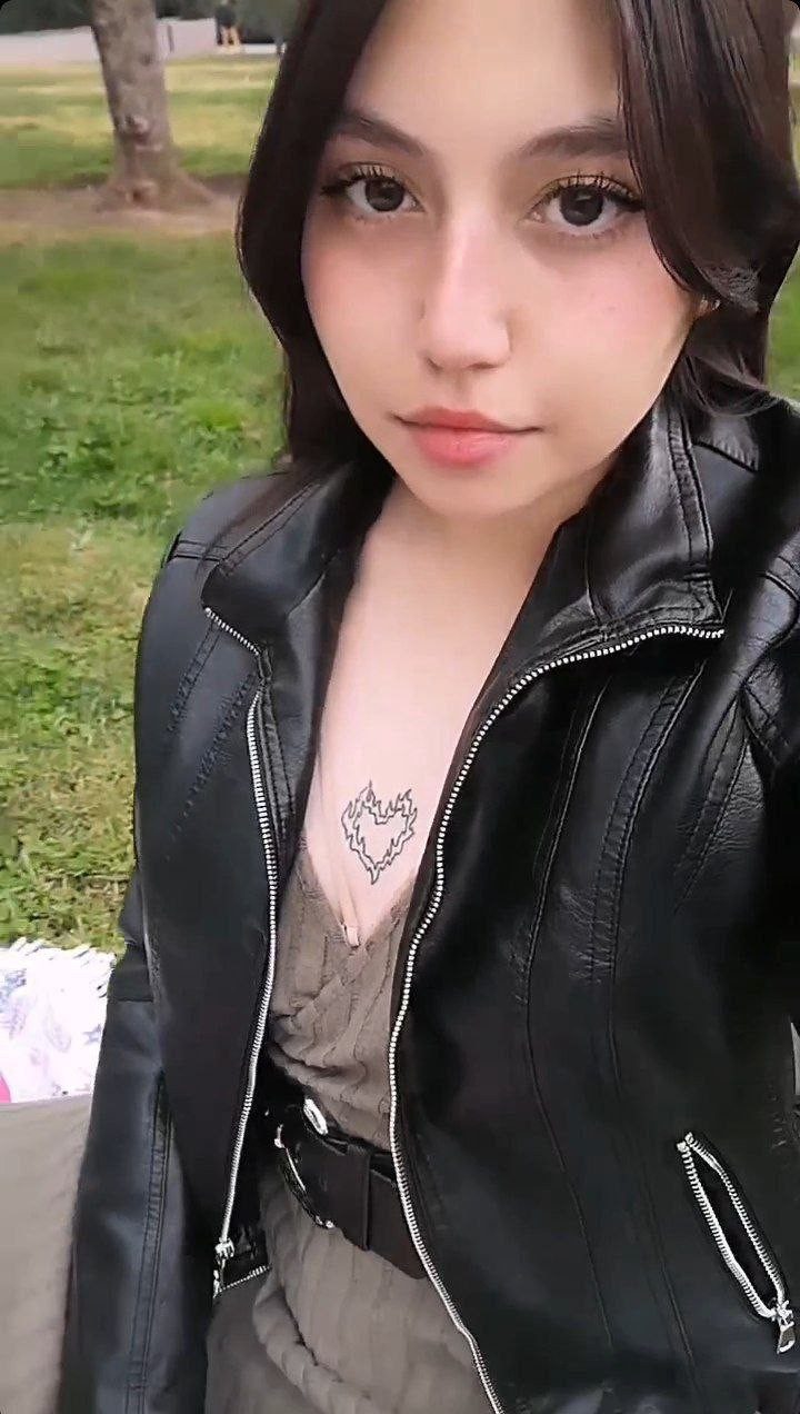 Anais de pudahuel