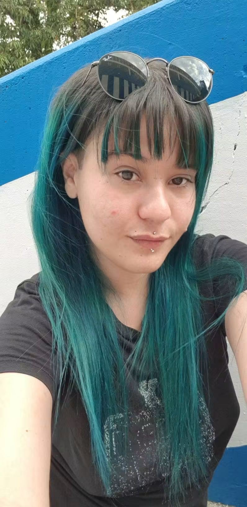 suban de las perritas de merida viejo · respuesta